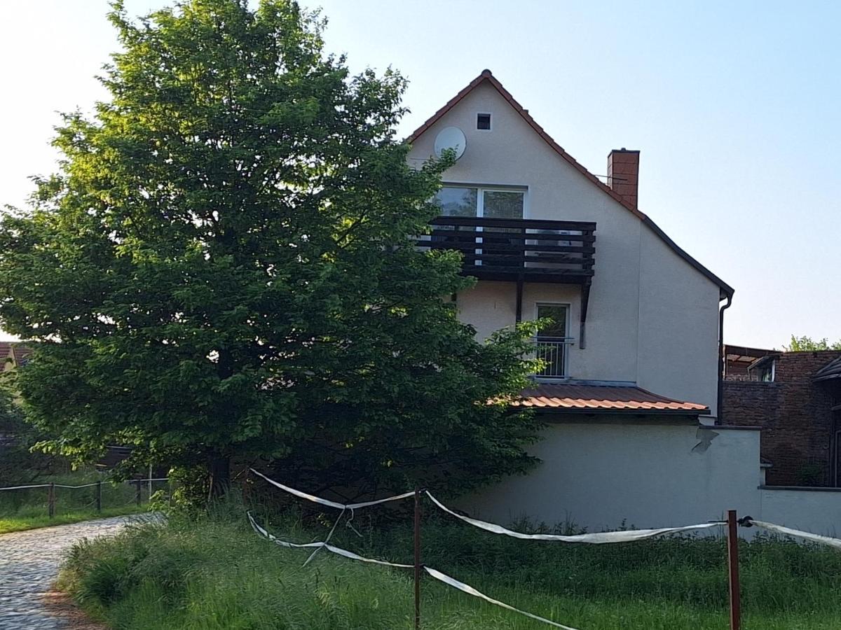Ferienhaus Herztor Bad Bibra Exterior foto